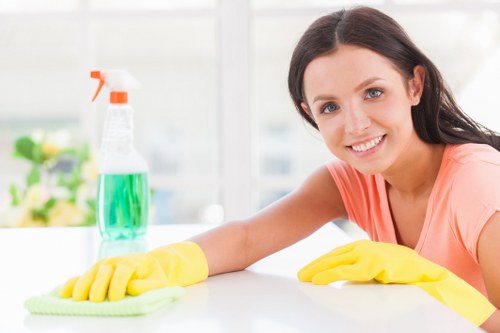 Woolwich carpet cleaners introducing professional local cleaning services