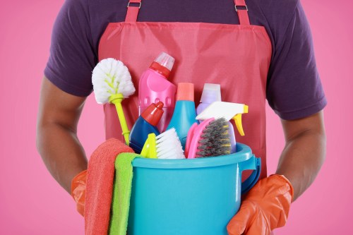 Professional Woolwich carpet cleaners refreshing a living room carpet