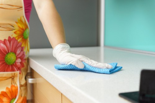 Risk assessment and preparation before carpet cleaning begins