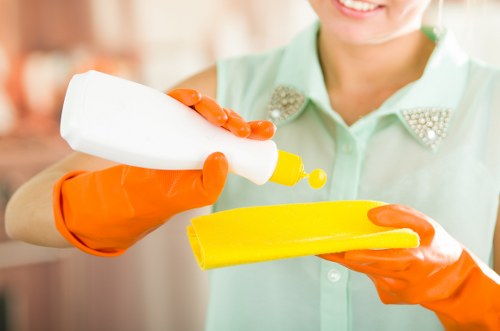 Eco-friendly sofa cleaning process for Woolwich homes