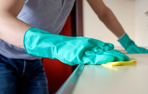 Deep cleaning equipment used for pet stain odour removal in Woolwich