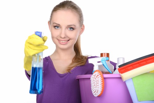 Professional cleaning process for pet odour removal on upholstery
